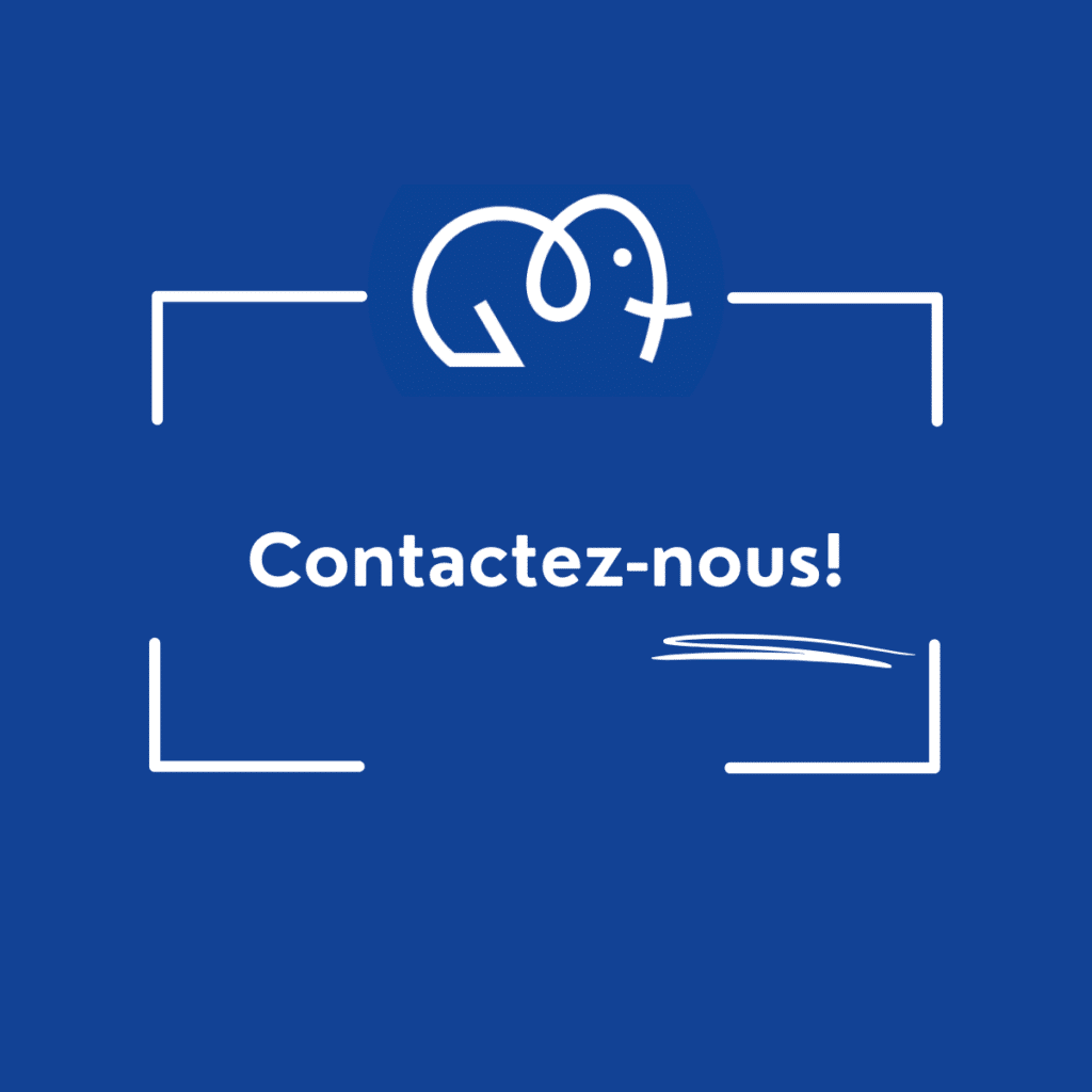 contact filpack